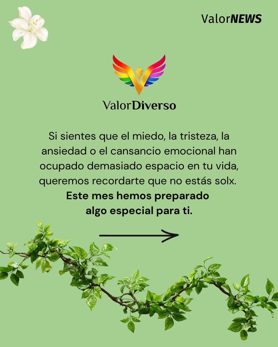 VDN072602